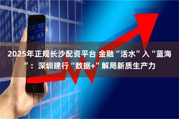 2025年正规长沙配资平台 金融“活水”入“蓝海”：深圳建行“数据+”解局新质生产力