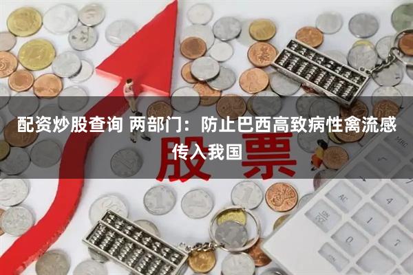 配资炒股查询 两部门：防止巴西高致病性禽流感传入我国