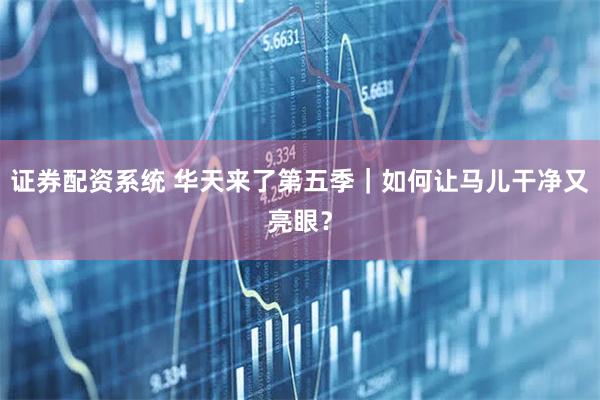 证券配资系统 华天来了第五季|如何让马儿干净又亮眼?